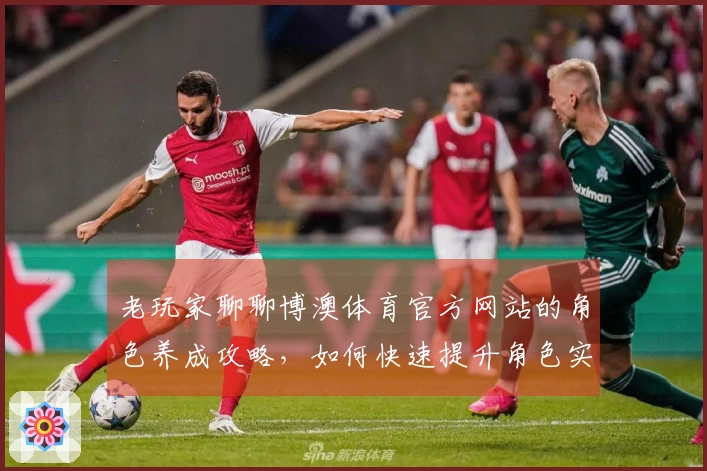 老玩家聊聊博澳体育官方网站的角色养成攻略，如何快速提升角色实力？