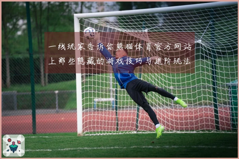 一线玩家告诉你熊猫体育官方网站上那些隐藏的游戏技巧与进阶玩法
