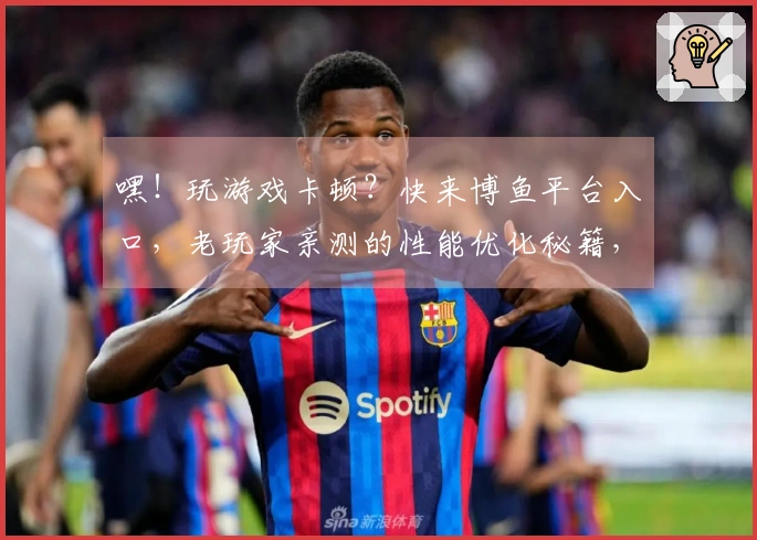 嘿！玩游戏卡顿？快来博鱼平台入口，老玩家亲测的性能优化秘籍，让你帧数飙升！