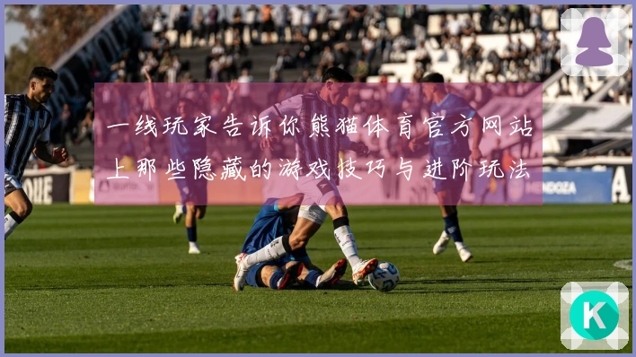 一线玩家告诉你熊猫体育官方网站上那些隐藏的游戏技巧与进阶玩法